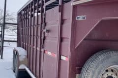 IMG_20250424_072103