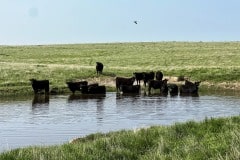 BIMG_6814