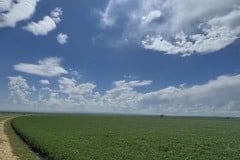 BIMG_7018