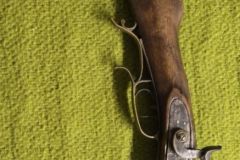IMG_20250410_095331