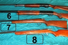 W-Guns-5-8