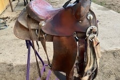 IMG_1629