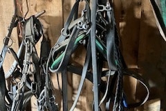 IMG_1772