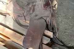IMG_1776