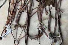 IMG_2073