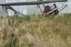 IMG_7959