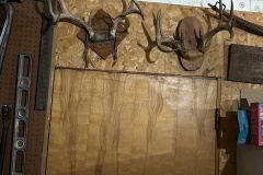 IMG_8159